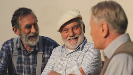 Portrait-Shot-Of-The-Three-Happy-Grandfathers-Spending-Their-Time-On-A-Bench,-Chatting-And-Laughing