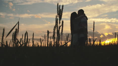 Couple-Hugging-And-Kissing-In-A-Wheat-Field-At-Sunset-1