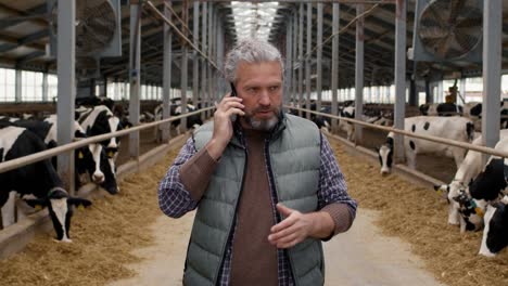 Granjero-Hablando-Por-Teléfono-En-Una-Granja-Con-Vacas-Alrededor