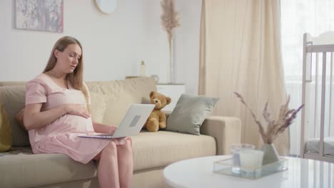 Mujer-Embarazada-Sentada-En-Un-Sofá-Y-Usando-Una-Laptop-En-Consulta-En-Línea-Con-Un-Médico-1