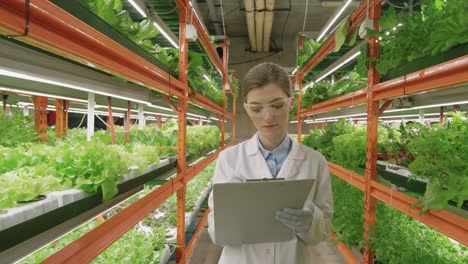 Young-Greenhouse-Female-Worker-In-White-Coat-And-Eyeglasses-Holding-Clipboard-While-Looking-Small-Pots-Inside-Vertical-Farm