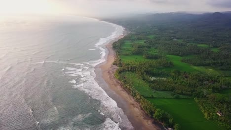 Aerial-View-Of-A-Beach-With-Waves-Reaching-The-Shore-And-A-Large-Green-Area-With-Trees