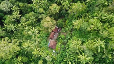 Luftaufnahme-Eines-Hauses-In-Einem-üppigen-Palmenwald