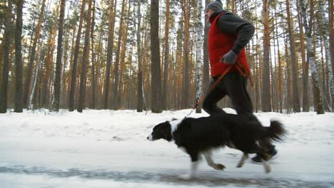 Aktiver-Mann-Mittleren-Alters,-Der-An-Einem-Wintertag-Auf-Einer-Verschneiten-Straße-Im-Wald-Mit-Border-Collie-Hund-Läuft