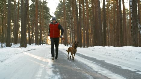 Active-Middle-Aged-Man-Running-On-A-Snowy-Road-In-Forest-With-Belgian-Shepherd-Dog-On-A-Winter-Day