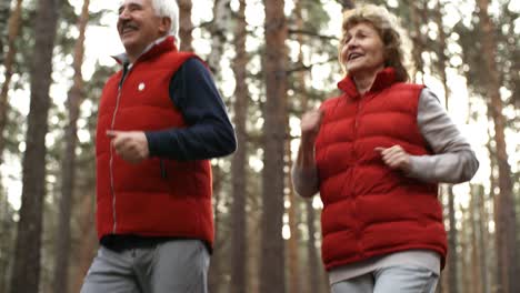 Glückliches-älteres-Paar,-Das-Zusammen-Im-Wald-Läuft