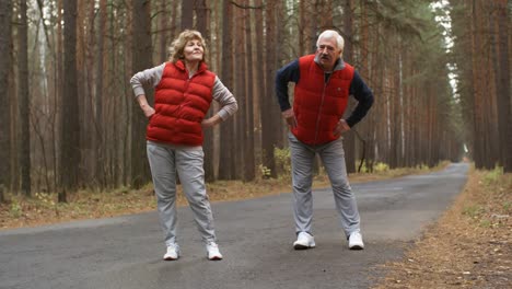 Seniorenpaar-Plaudert-Und-Streckt-Sich-Im-Wald