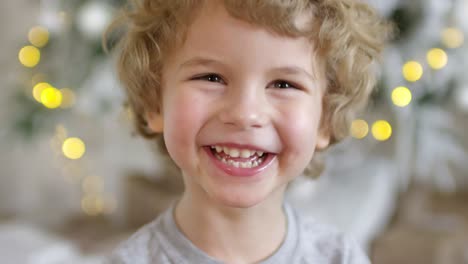 Cute-Blonde-Little-Boy-Smiling-At-Camera-On-Christmas