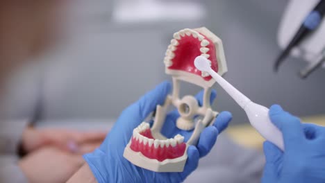 Nahaufnahme-Eines-Nicht-Erkennbaren-Zahnarztes-In-Handschuhen-Mit-Zahnbürste-Und-Zeigt,-Wie-Man-Die-Zähne-Mit-Zahnprothesen-Richtig-Putzt