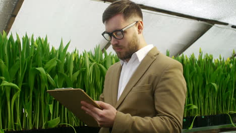 Bearded-Businessman-In-Glasses-Taking-Notes-On-Tablet-While-Choosing-Budding-Tulips-For-His-Floral-Business-In-Wholesale-Greenhouse