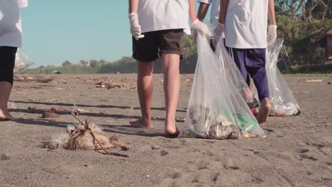 Back-View-Of-Group-Of-Ecological-Activists-Collecting-Trash-From-Beach