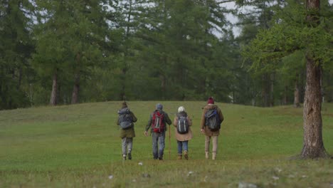 Rear-View-Of-Group-Of-Four-Hikers-With-Backpacks-Walking-Together-On-Green-Forest-Lawn