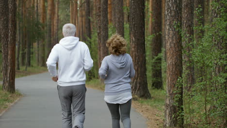 Rear-View-Of-Unrecognizable-Elderly-Woman-And-Man-Jogging-Along-Pavement-Road-In-Park