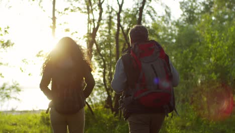 Rückansicht-Des-Touristenpaares,-Das-Bei-Sonnenuntergang-Im-Wald-Wandert