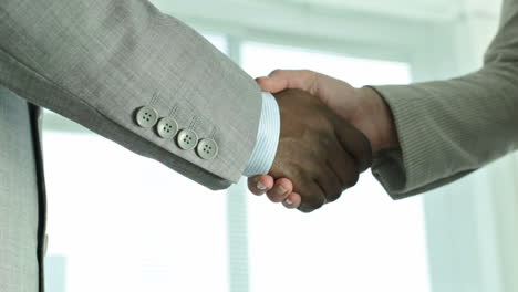 Two-Positive-Businesspeople-Shaking-Hands-Indicating-A-Concluded-Deal