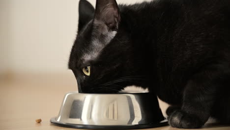 Nahaufnahme-Einer-Hungrigen-Schwarzen-Katze,-Die-Zu-Hause-Essen-Aus-Einer-Metallschüssel-Isst