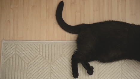 Nahaufnahme-Des-Sich-Bewegenden-Schwanzes-Einer-Schwarzen-Katze