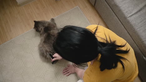 Top-View-Of-Woman-Brushing-Her-Cat-Lying-On-Floor