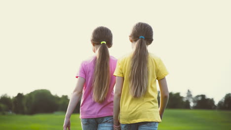 Rückansicht-Von-Zwei-Kleinen-Schwestern,-Die-Händchen-Halten-Und-Zusammen-Im-Park-Spazieren-Gehen