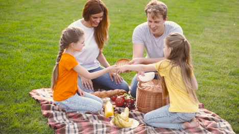 Happy-Parents-With-Two-Little-Daughters-Having-Picnic-Together-On-Green-Meadow-In-The-Park