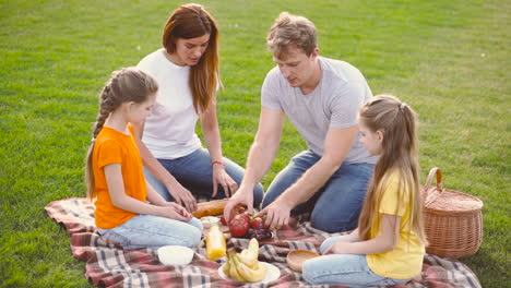 Glückliche-Eltern-Mit-Zwei-Kleinen-Töchtern-Beim-Gemeinsamen-Picknick-Auf-Der-Grünen-Wiese-Im-Park-1