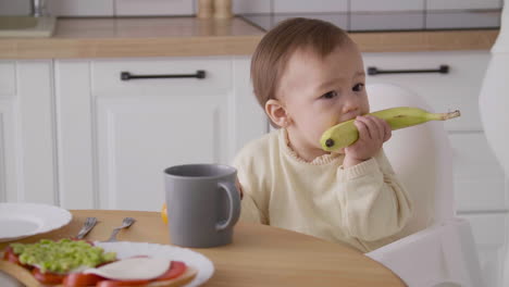 Cute-Baby-Girl-Sitting-In-High-Chair-Next-To-The-Kitchen-Table-Holding-And-Biting-A-Banana