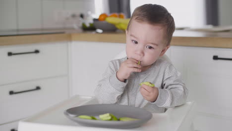 Süßer-Kleiner-Junge,-Der-Avocadoscheiben-Isst-Und-In-Der-Küche-Im-Hochstuhl-Sitzt