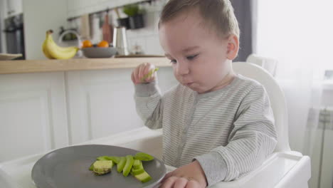 Süßer-Kleiner-Junge,-Der-Avocadoscheiben-Isst,-Sitzt-Im-Hochstuhl-In-Der-Küche-1