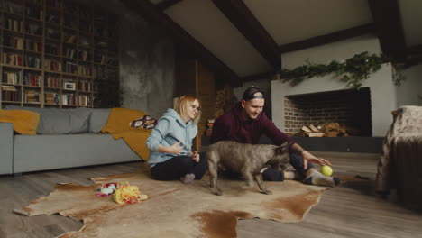 Couple-Playing-With-Her-Bulldog-Dog-With-A-Tennis-Ball-On-The-Floor-In-Living-Room-1