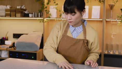 Waitress-Cleaning-Bar-Counter-With-Rag-While-Working-In-Coffee-Shop-1