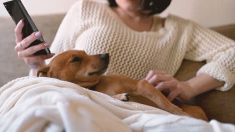 Brünette-Frau-Und-Ihr-Hund-Sitzen-Auf-Dem-Sofa-Und-Sind-Mit-Einer-Decke-Bedeckt
