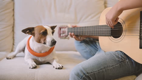 Niño-Tocando-La-Guitarra-Sentado-En-El-Sofá,-Junto-A-él-Está-Su-Perro-Acostado
