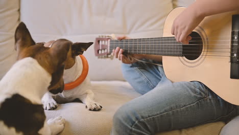 Boy-Playing-The-Guitar-Sitting-On-The-Couch,-Next-To-Him-Is-His-Dog-Lying-And-His-Other-Dog-Approaches