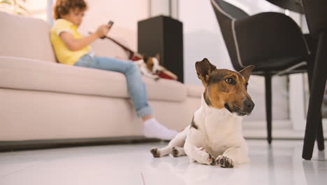 Camera-Focuses-On-A-Dog-Lying-On-The-Floor,-A-Blond-Boy-Sitting-On-The-Sofa-Using-Smartphone-Next-To-His-Other-Dog-In-The-Background