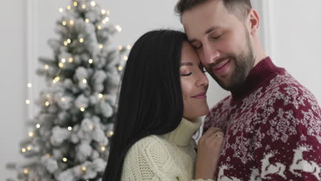 Portrait-Of-Loving-Couple-Tenderly-Hugging-Each-Other-On-Christmas-At-Home