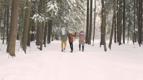 Rear-View-Of-Parents-And-Daughter-Dressed-In-Winter-Clothes-Walking-And-Jumping-In-Snowy-Forest