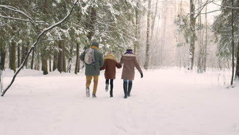 Rückansicht-Von-Eltern-Und-Tochter-In-Winterkleidung-Beim-Gehen-Und-Springen-Im-Verschneiten-Wald-1