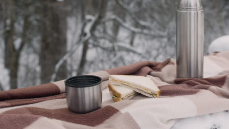 Close-Up-View-Of-A-Sandwich,-Thermos-And-Tea-On-A-Checkered-Blanket-In-A-Snowy-Forest