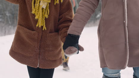 Camera-Focuses-On-Mother-And-Daughter-Holding-Hands-As-They-Walk-In-A-Snowy-Forest