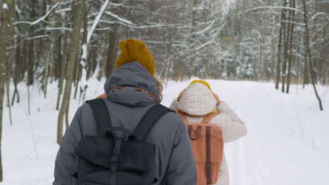 Rear-View-Of-Three-Friends-In-Winter-Clothes-Walking-In-A-Winter-Forest