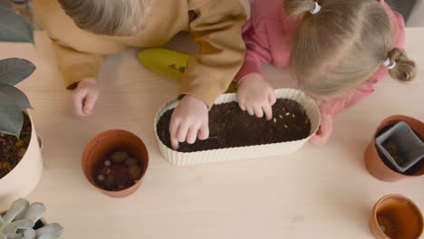 Top-View-Of-Little-Blonde-Girl-And-Blond-Kid-Preparing-The-Soil-In-A-Pot-Sitting-At-A-Table-Where-Is-Plants-In-A-Craft-Workshop