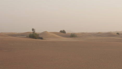 Desert-Landscape-With-Sand-Dunes-And-Shrubs