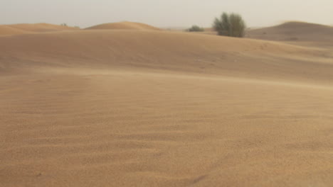 Wind-Blowing-Over-Sand-Dune-In-The-Desert-2