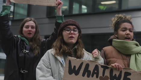 Multikulturelle-Gruppe-Junger-Aktivistinnen-Mit-Transparenten,-Die-Gegen-Den-Klimawandel-Protestieren-1