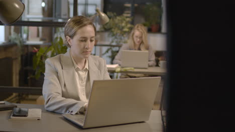 Mujer-De-Negocios-Que-Trabaja-En-Una-Computadora-Portátil-En-La-Oficina