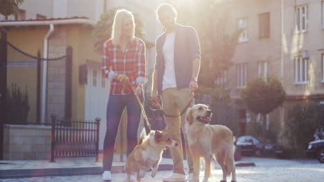 Young-Man-And-Woman-With-Two-Dogs-On-The-Leashes-Walking-On-The-Street-On-Sunny-Day