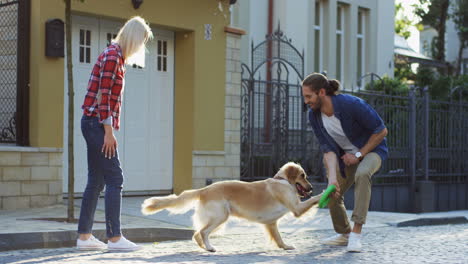Young-Man-And-Woman-Playing-With-A-Labrador-Dog-On-The-Street-On-A-Sunny-Day