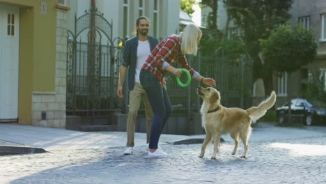 Young-Man-And-Woman-Playing-With-A-Labrador-Dog-On-The-Street-On-A-Sunny-Day-3