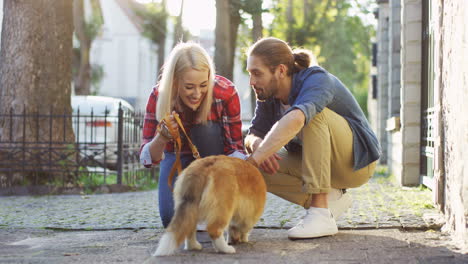 Young-Couple-Crouching-On-The-Street-And-Petting-Their-Corgi-Dog-On-A-Sunny-Day