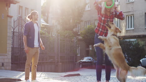 Young-Blond-Charming-Woman-Playing-With-A-Labrador-Dog-And-Making-It-Jump-High-While-Her-Boyfriend-Watching